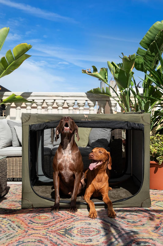 Collapsible Dog Crate 42 Inch, XXL Dog Crate for XXL, XL, Large Breeds, Travel Kennel for Car, Includes Pet Mat for Pet Cage, 2 Storage Pockets, Handbag, 10mm Locking Zippers 42 * 31 * 31