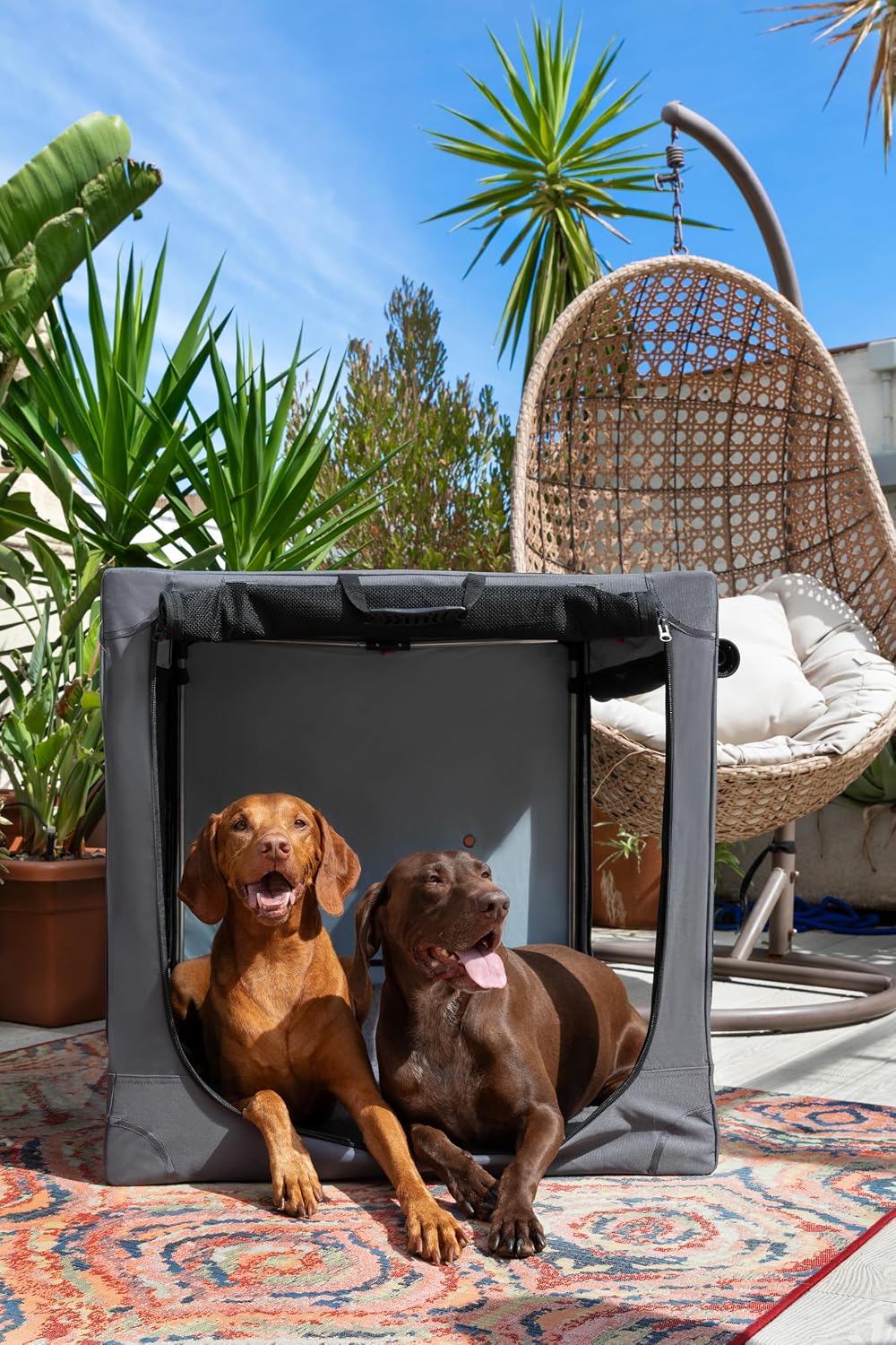 Collapsible Dog Crate 42 Inch, XXL Dog Crate for XXL, XL, Large Breeds, Travel Kennel for Car, Includes Pet Mat for Pet Cage, 2 Storage Pockets, Handbag, 10mm Locking Zippers 42 * 31 * 31
