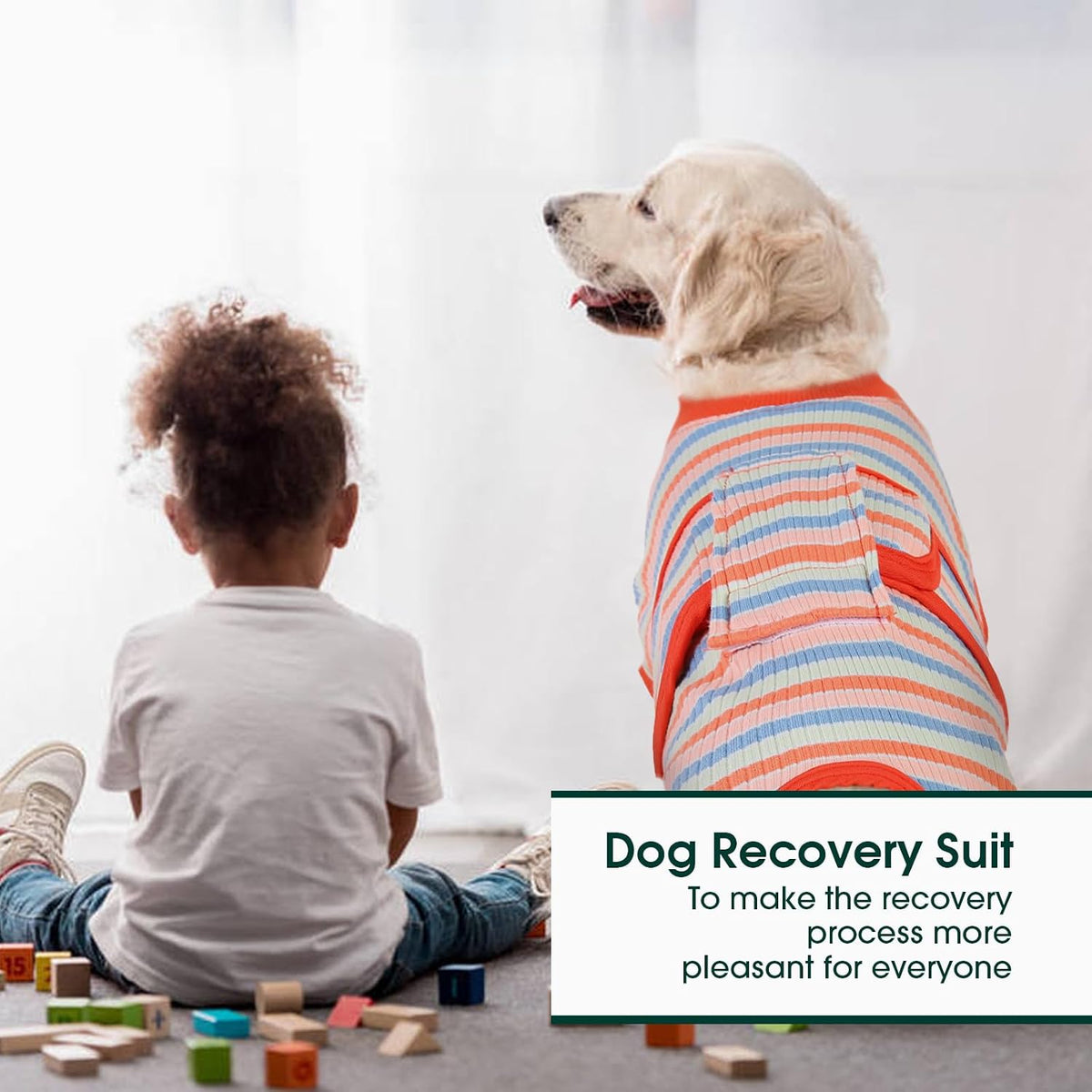 Recovery Suit for Dogs Cats, Soft Dog Surgery Suit Female Male Spay