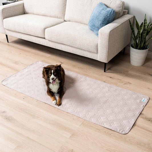 PetAmi Waterproof Couch Cover for Dogs, Reversible Furniture Cover Sofa Protector for Pet Cat Bed, Washable Blanket Dog Cover for Couch Seat, 52x82 Gray