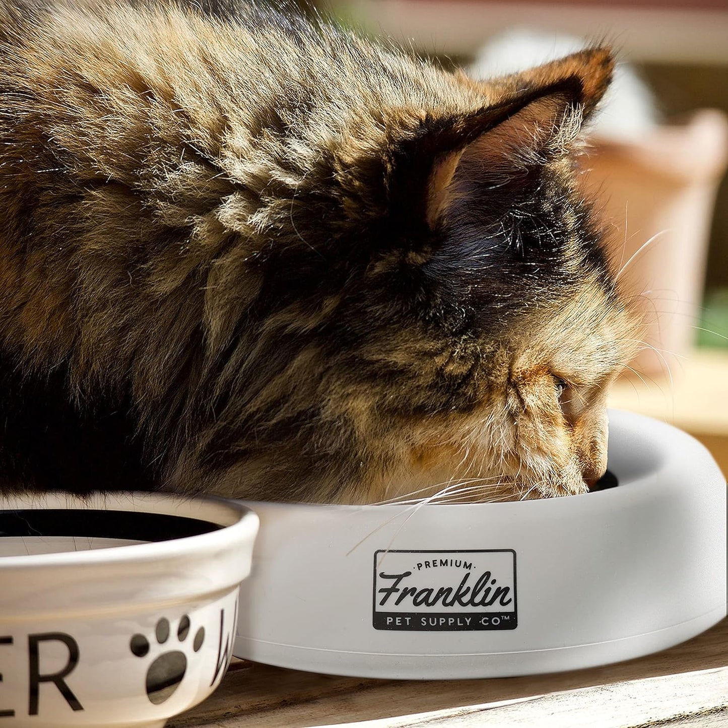 Franklin Pet Supply Co. Spill Proof Pet Bowl - No Splash Travel Water + Food Dish for Dogs + Cats - Portable - 16 oz. - BPA Free