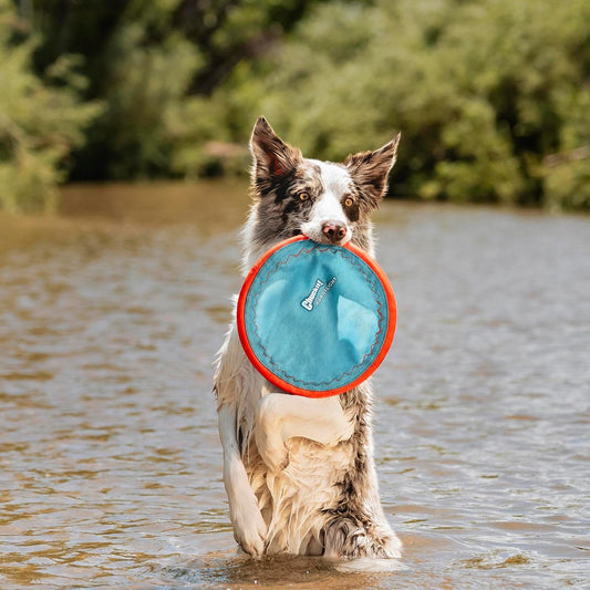 ! Paraflight Flying Disc Dog Toy, Floats, Size Large, 1 Pack