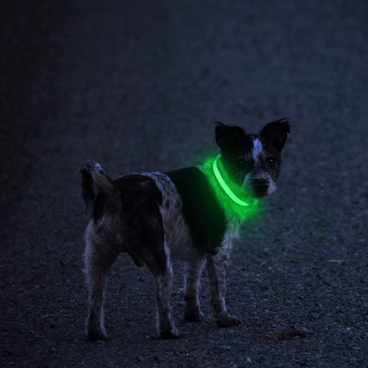 LED Dog Collar - Light Up Dog Collars Rechargeable - Waterproof Night Walking Glowing Dog Collar for Small, Medium, Large Dogs