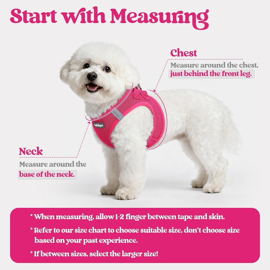Dog Harness Small Sized and Leash Set, Step-in Puppy Pet Vest - Colors B