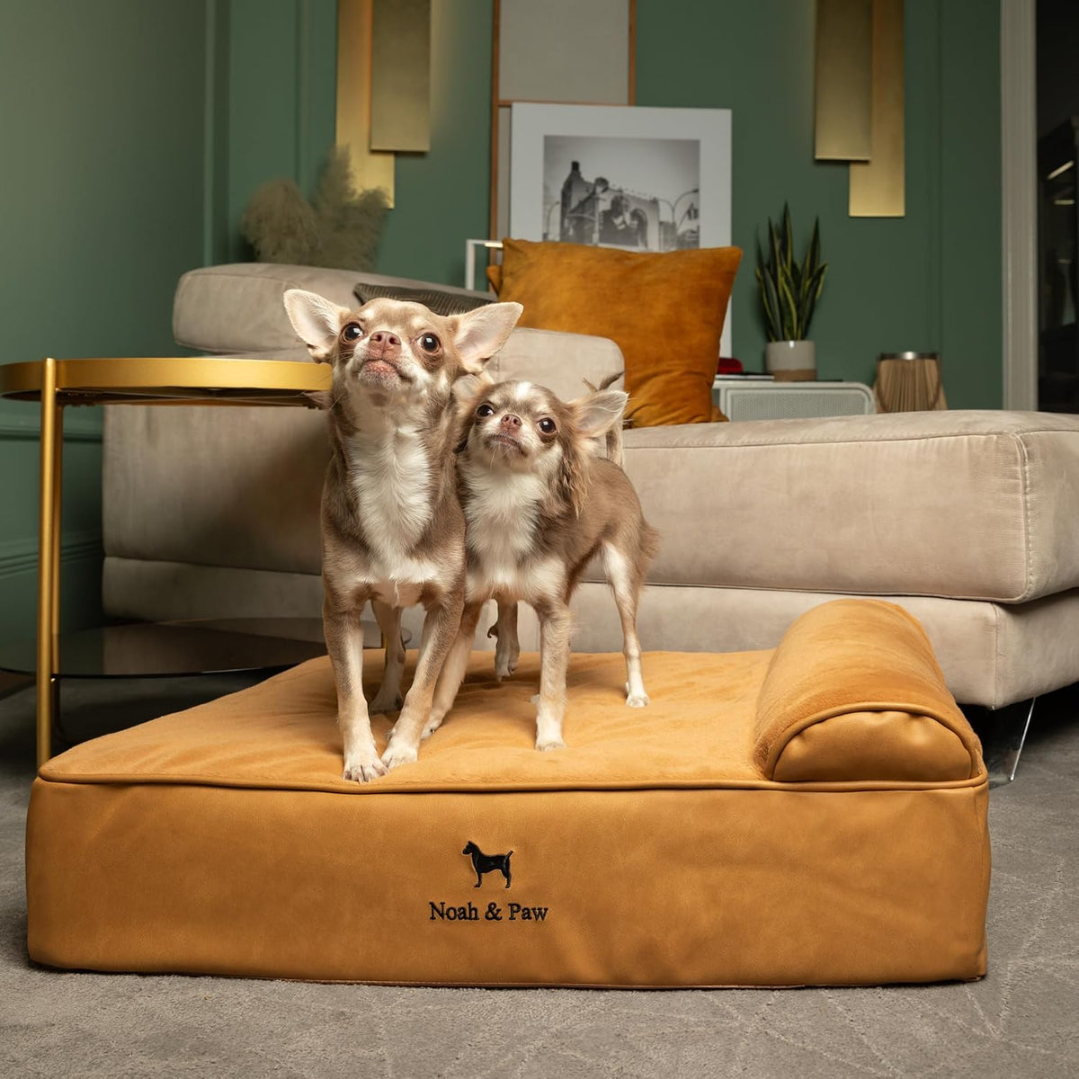 XL Dog Bed, 45x35x9.1 Inch, Orthopedic Large Dog Beds, Eggshell Memory Foam Infused with Cooling Gel, Water Resistant, Machine Washable, Includes Inner Cover