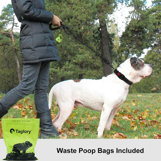 Rope Dog Leash for Medium Large Dogs, 6 FT Padded Handle, Black