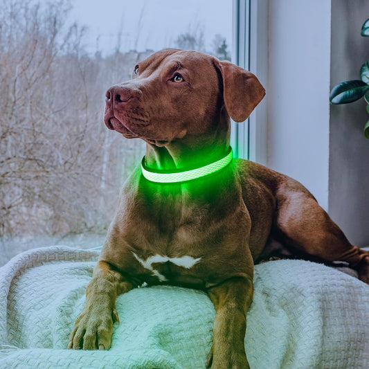 LED Dog Collar, Light Up Dog Collar USB Rechargeable, Green, L
