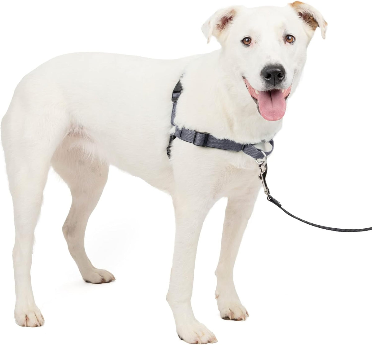 Easy Walk Deluxe Dog Harness, No Pull Dog Harness – Perfect for Leash & Harness Training – Stops Pets from Pulling and Choking on Walks – Medium, Steel