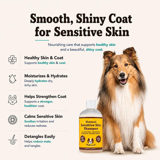 Sensitive Skin Dog Shampoo – Hypoallergenic Oatmeal Anti Itch Shampoo for Dogs, Gentle Puppy & Dog Wash with Aloe Vera, Manuka Honey & Chamomile, Odor Control, 12 oz