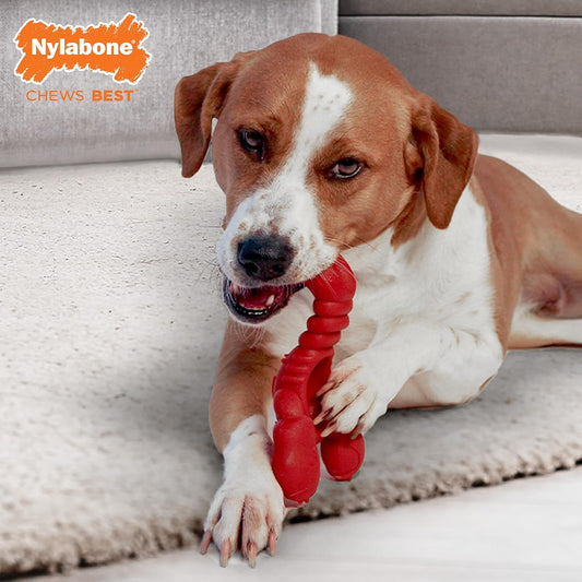 Lobster Power Chew Toy for Dogs, Dog Toys for Aggressive Chewers