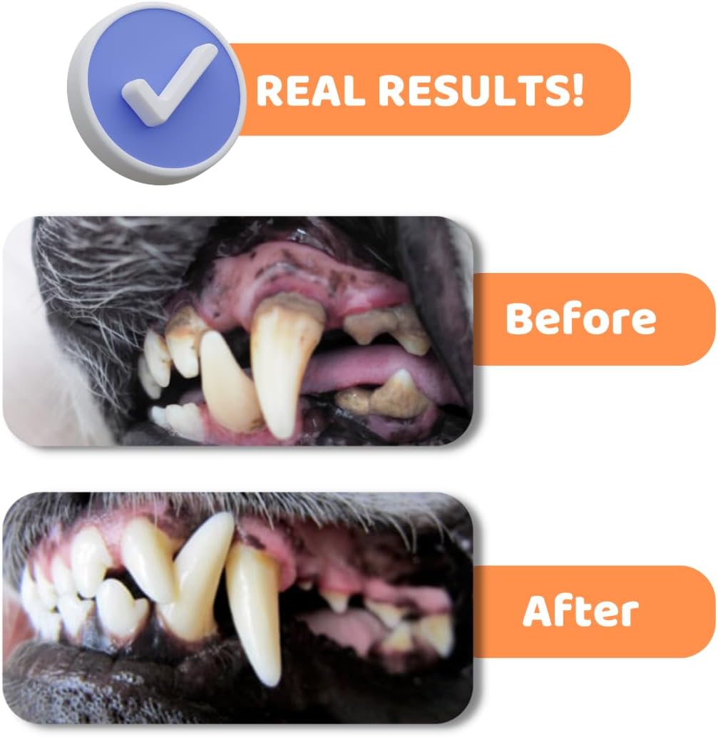 Dog Toothbrush with Toothpaste | Approved Dog Dental Kit | Triple Headed Deep Cleaning Toothbrush for Dogs + 100% Natural Tooth-Paste | Freshen Breathe & Remove Plaque (Dental Kit)