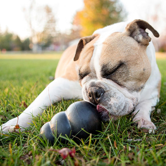 Extreme Dog Toy, Durable Natural Rubber Chew, for Large Dogs