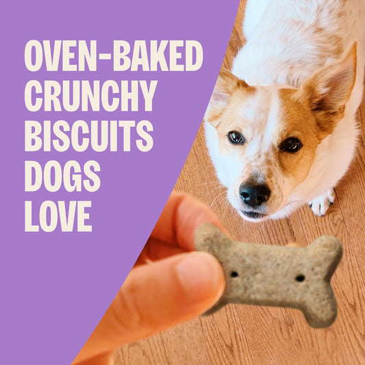 Wellness Old Mother Hubbard Classic Just Vegg'n Dog Biscuits, Natural Training Treats, Sweet Potato, Oats, Apple and Carrot Flavor, Mini Size, 20 oz Bag