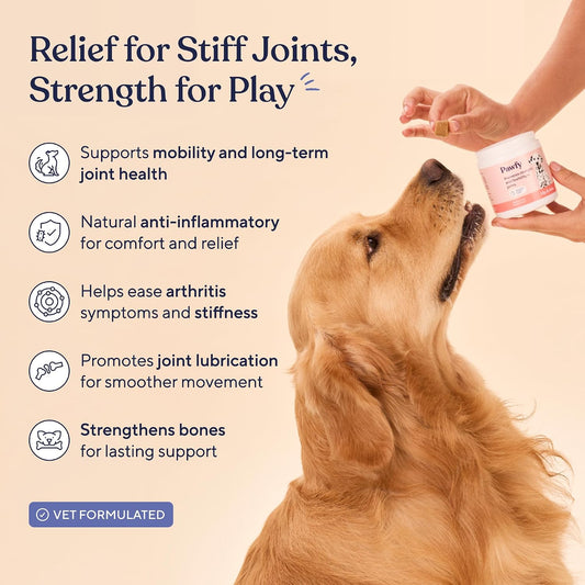 Hip & Joint Supplement for Dogs - Glucosamine Chondroitin & MSM