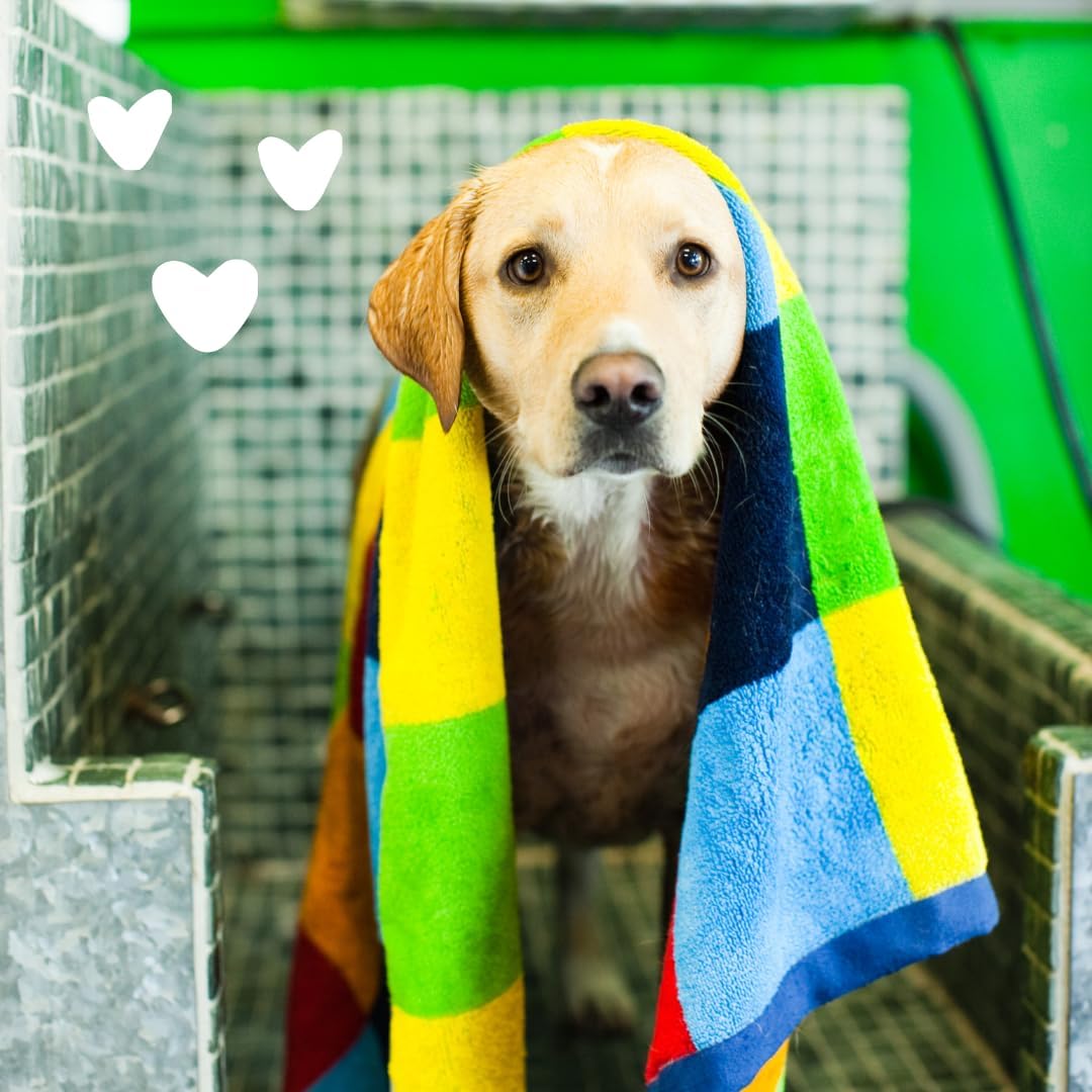 Oatmeal & Aloe Dog Shampoo, Itchy, Dog Wash, 16 Oz (1 Pack)