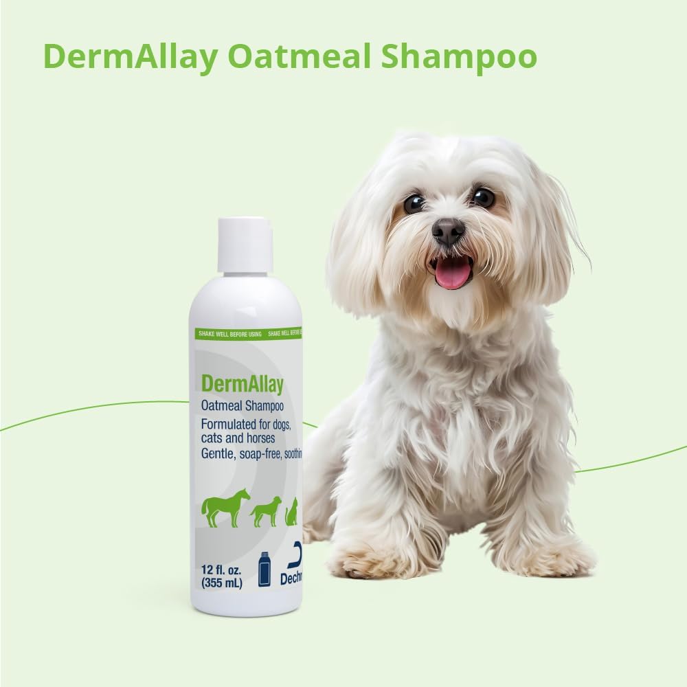 Oatmeal Shampoo for Dogs, Cats and Horses, 12 Fl Oz