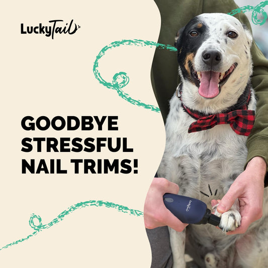 Pet Nail Grinder for Dogs and Cats - Super Quiet and Low Vibration Electric Dog Nail Grinder with 2 LED Lights - USB Rechargeable and Cordless - 2 Speeds - Small to Large Pets