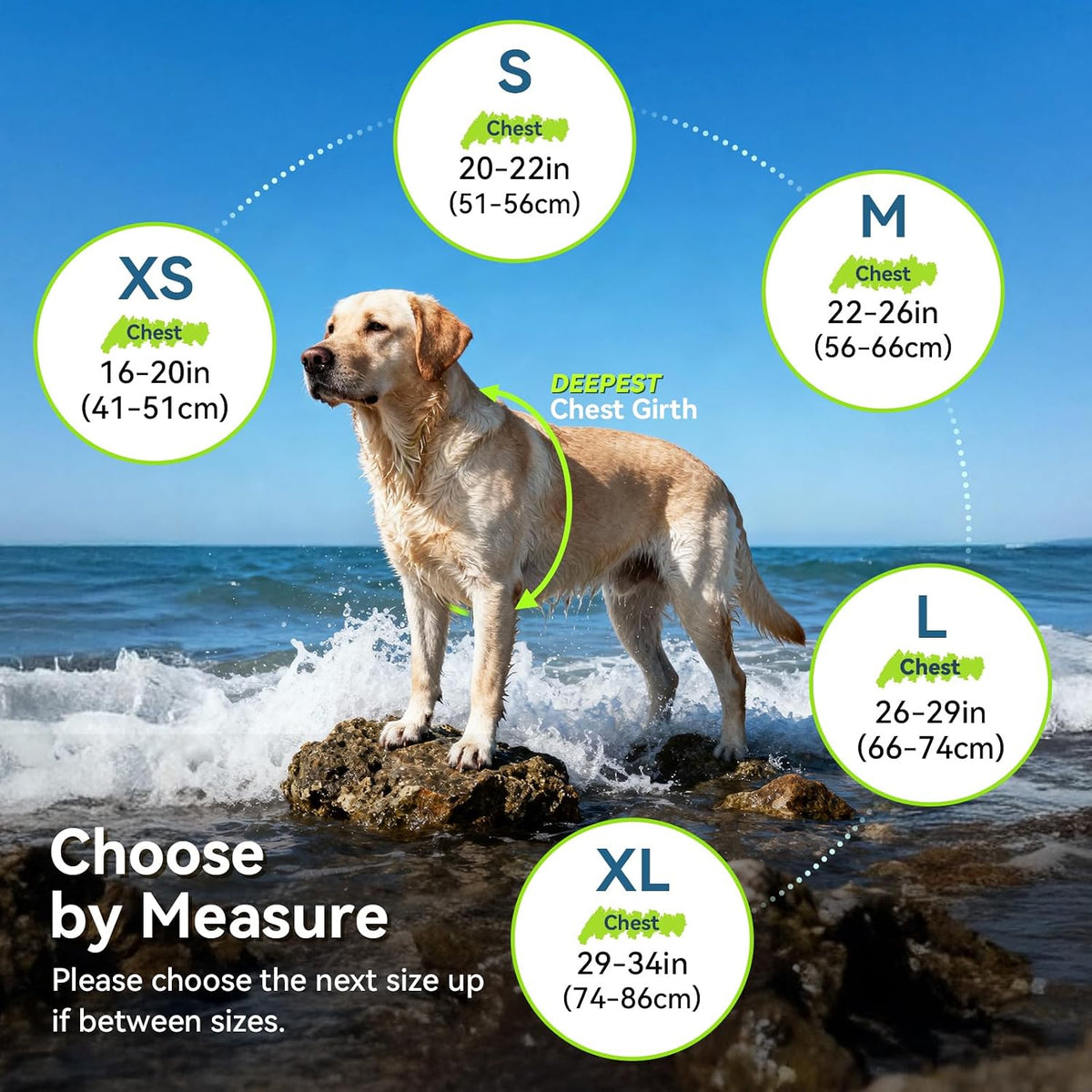 Dog Life Vest Neoprene Dog Swim Vest, XL, Cyra Blue