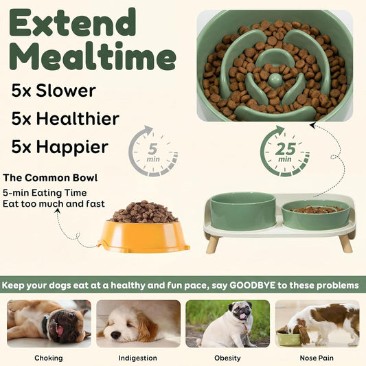 Elevated Slow Feeder Dog Bowls with Splash Proof Stand, Slow Eating 5X | 6.5″ Dog Slow Feeding Bowls & 6.1″ Dog Food Dish, Non-Slip Raised Food and Water Bowl Set for Small and Medium Breeds, White