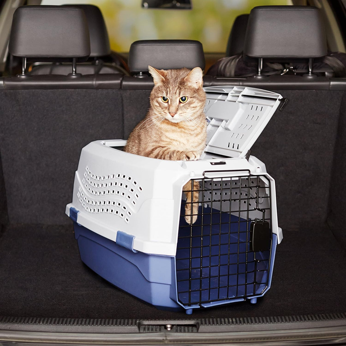 2-Door Top-Load Hard-Sided Pet Travel Carrier for Cats and Small Dogs, 19" L x 12.6" W x 10" H, Gray & Blue