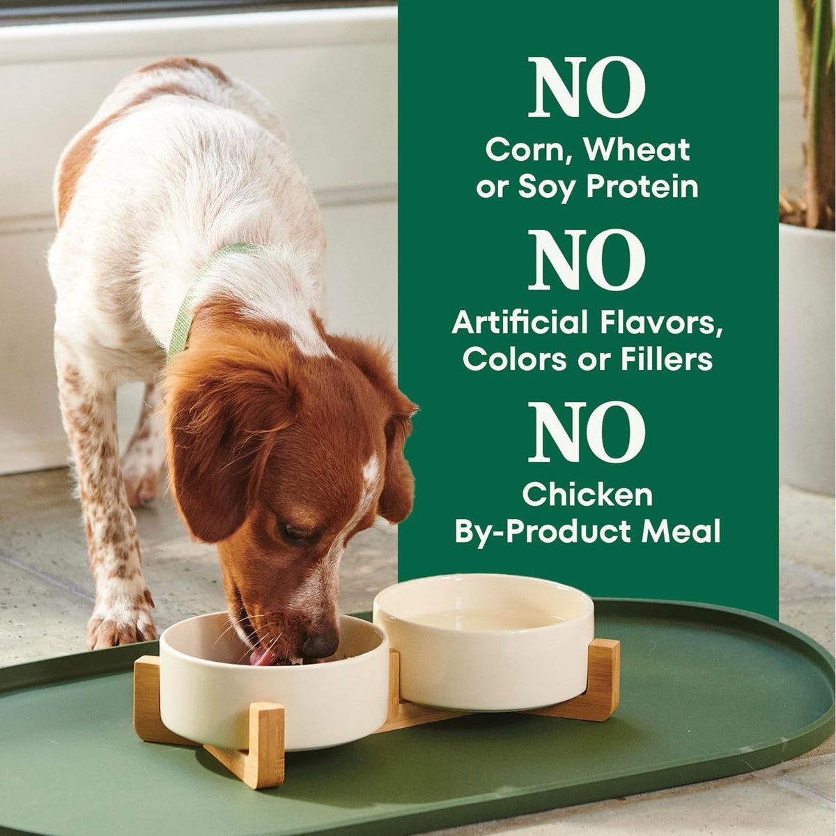 Natural Choice Small Breed Dry Dog Food, Chicken & Rice, 5 lb
