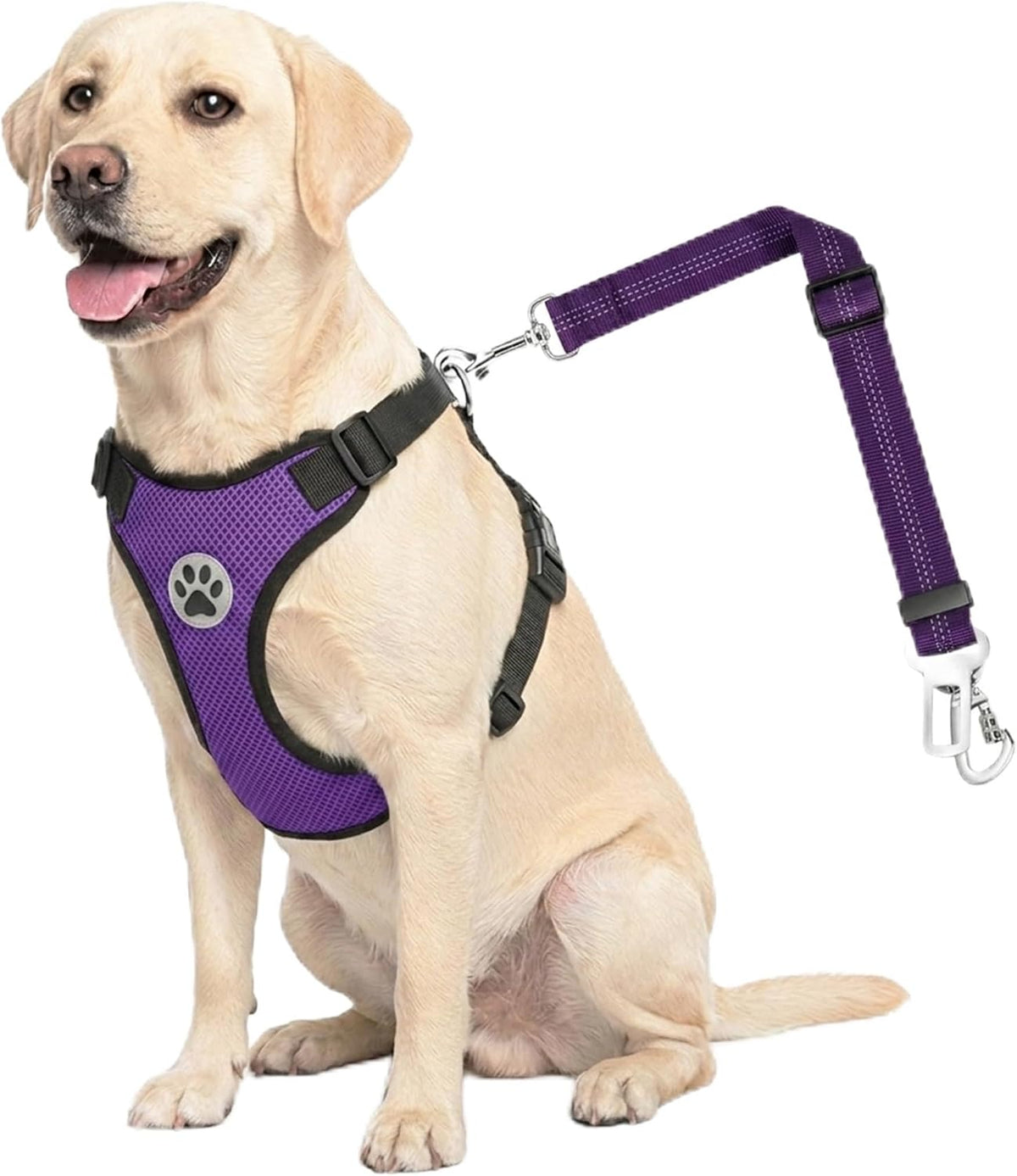 Dog Car Harness Seat Belt, Harness & Seatbelt with 2 in 1 Buckle