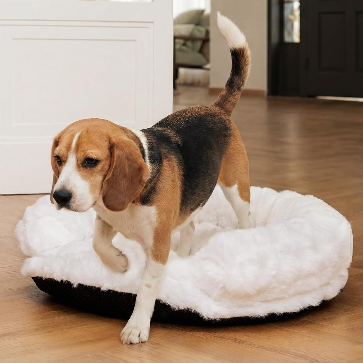 Dog Bed Couch Sofa for Small Medium Dogs Cats 30x30x9 Round White