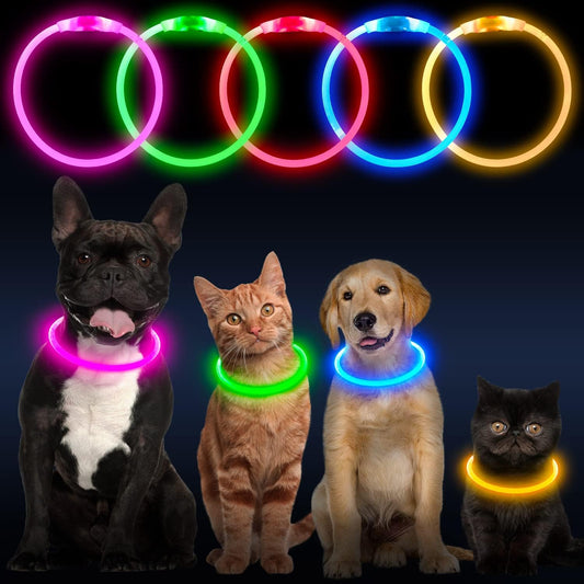 LED Dog Collar, USB Rechargeable Glow Lighted up Collar, Green