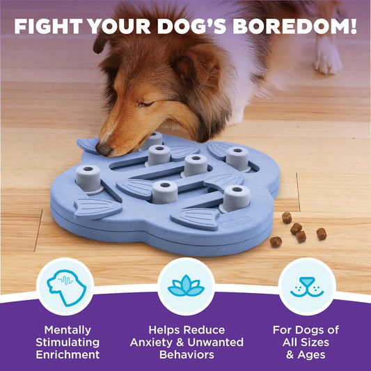 Nina Ottosson Dog Hide N' Slide Dog Toy Treat Puzzle, 11.6"