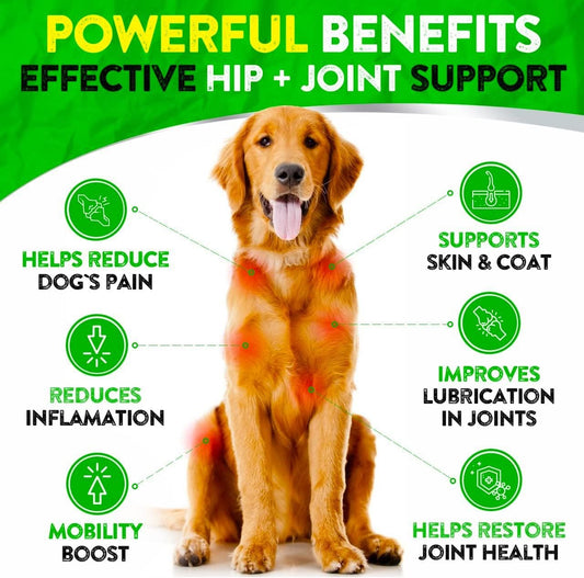 Hemp Hip and Joint Supplement for Dogs - Glucosamine for Dogs - 170 Ct