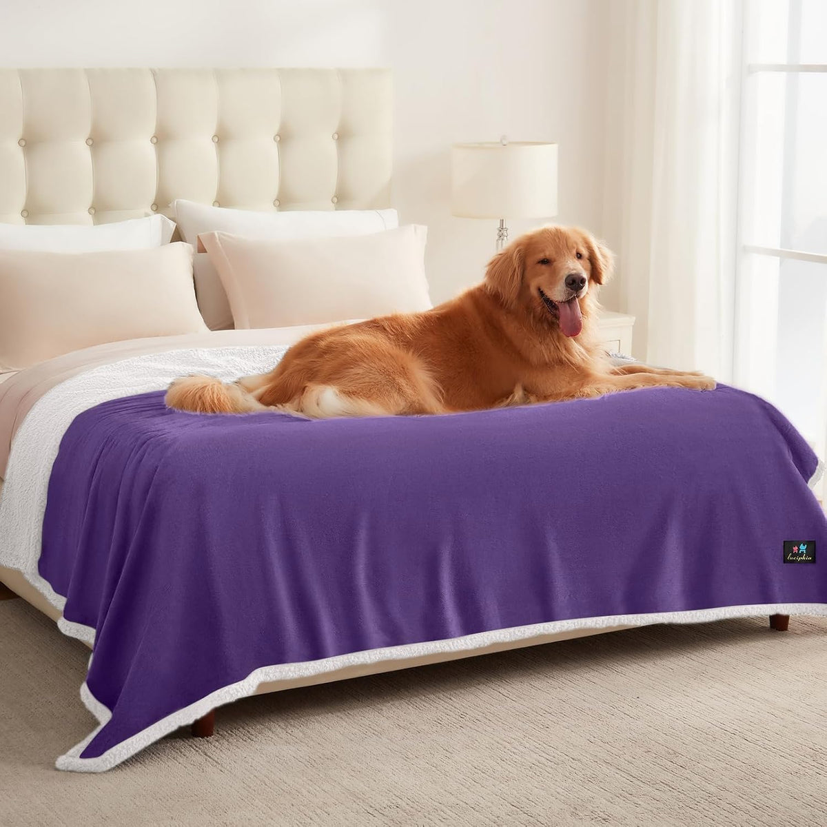 Waterproof Pet Blanket, Washable Reversible Sherpa Fleece Throw | Liquid-proof furniture protector for bed and couch, soft reversible sherpa fleece for dogs, cats grey, XS