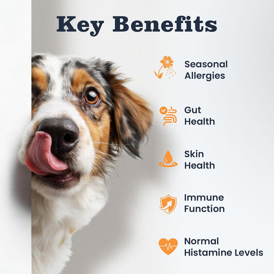 Dog Allergy Chews 200 Ct, Itch Relief for Dogs Immune Support Seasonal All Issues Allergies Colostrum Probiotics & Omega 3 for Skin & Coat, Itchy Skin & Paw Relief Bites, Made in USA