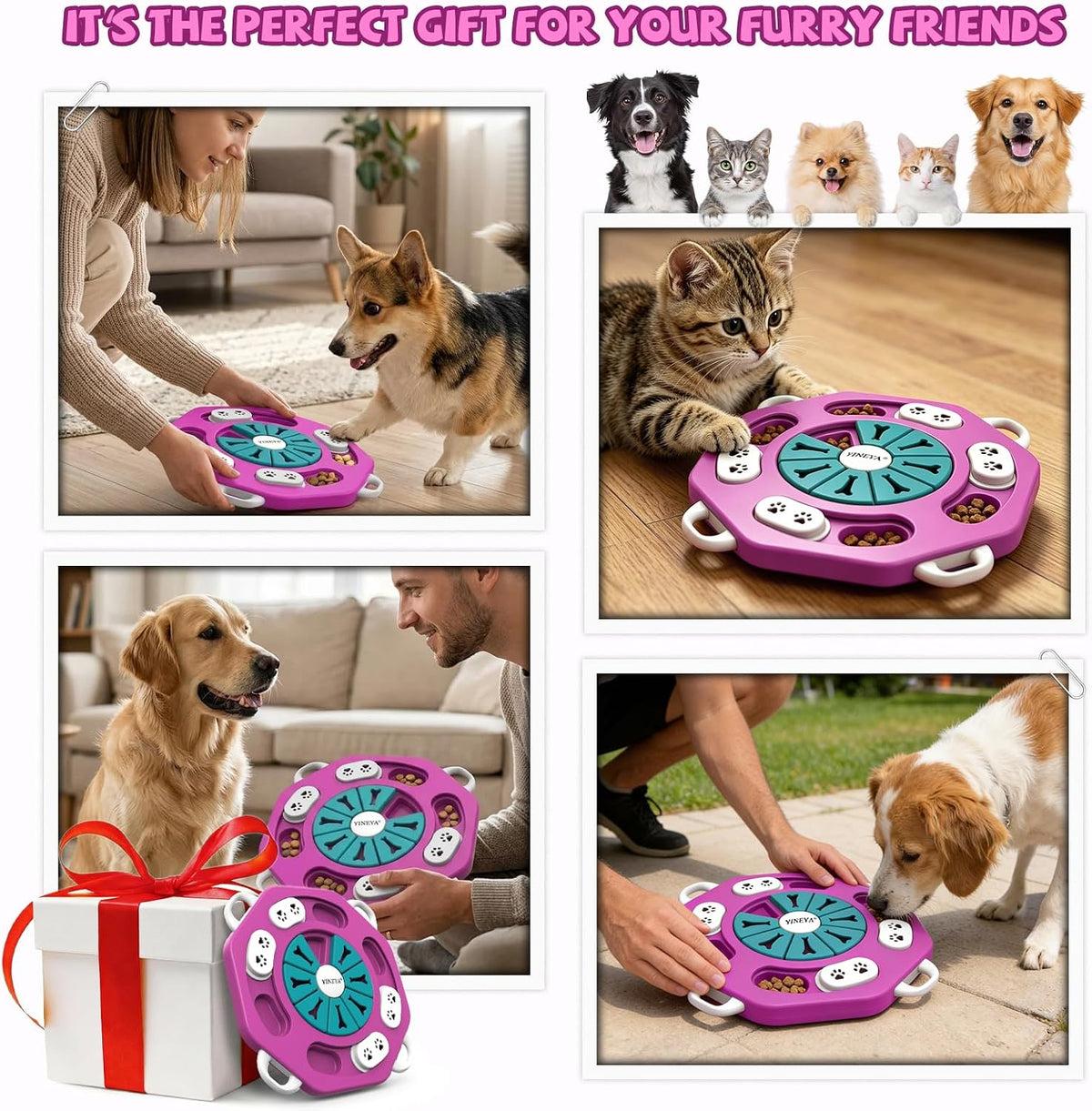 Dog Puzzle Toy, Enrichment Toys for Dogs Training IQ & Treat Brain Games, Dog Toys to Keep Them Busy, Mental Stimulation for Dogs, Puppy Toy for Treat Dispensing, Puzzle for Small, Medium, Cats
