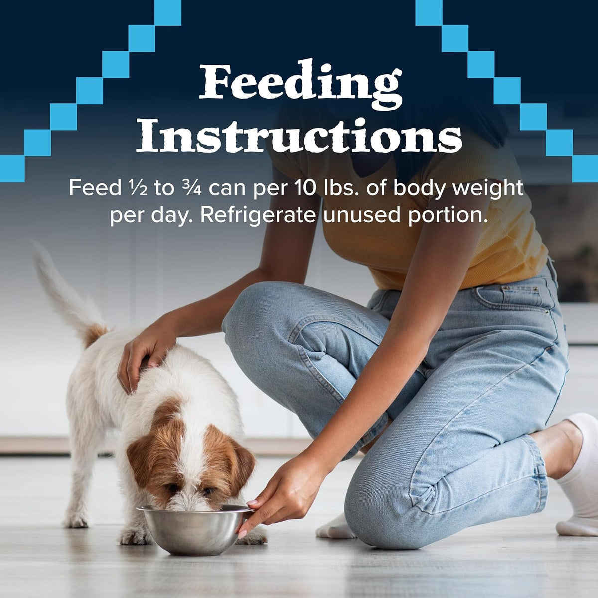 Blue Buffalo Wilderness Turkey & Chicken Senior Wet Dog Food, 12.5 oz, 12pk