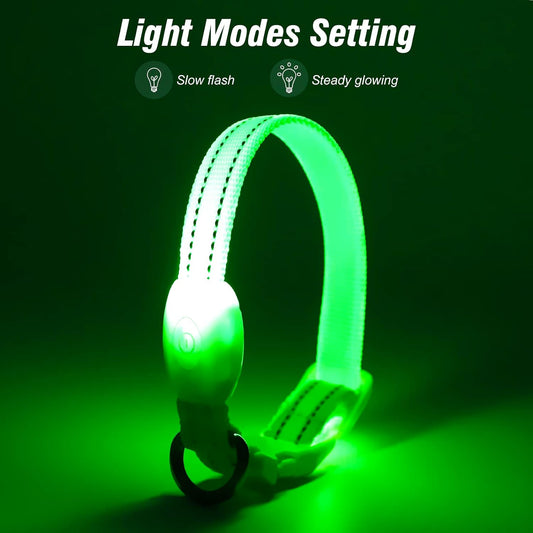 Light Up Dog Collars for Small Dogs,LED Dog Collar Light Rechargeable,Fully Adjustable Lighted Dog Collar,Glow in The Dark Dog Collars with Dog Lights for Night Walking,Green