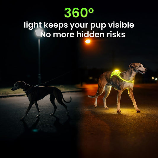Xlife LED Light Up Dog Harness, USB-C Rechargeable, Adjustable, Size M