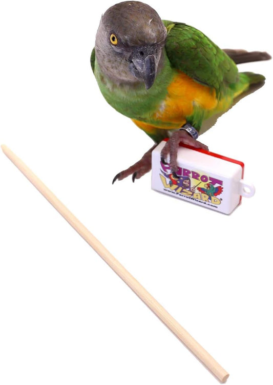 Parrot Training Clicker and Target Stick