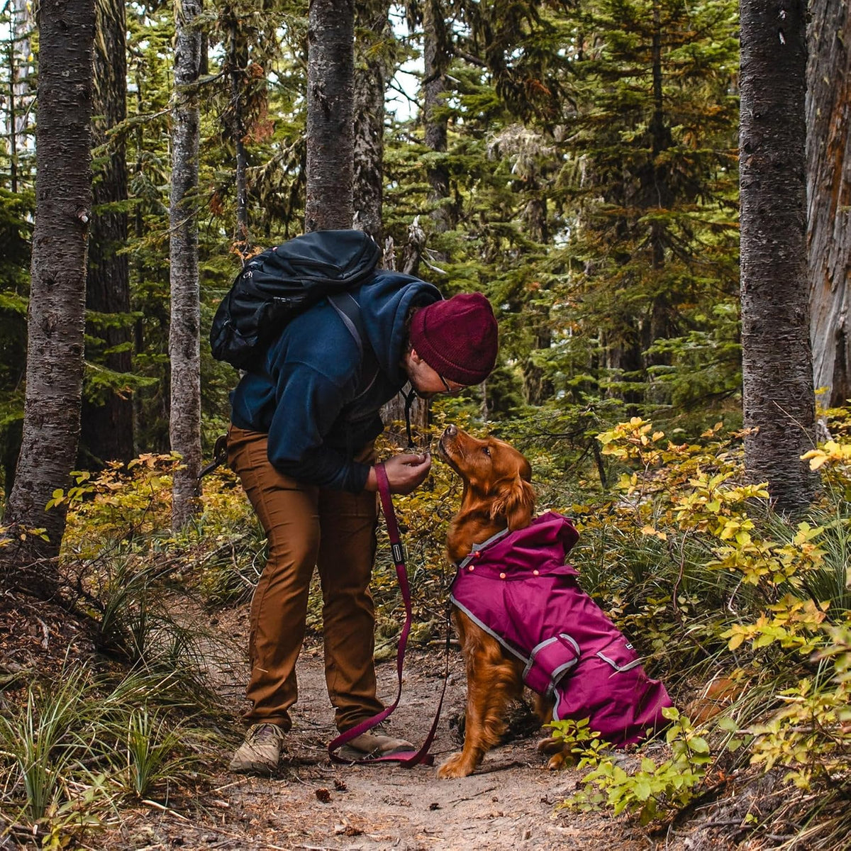 Dog Jacket Waterproof Raincoat with Breathable Interior, Removable Hood, Torso Strap, Secure Closures, Back Pocket and Two Hanging Loops, Foldable into Back Pocket