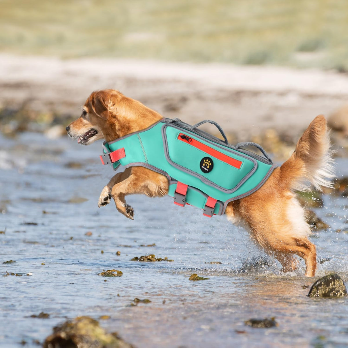 Dog Life Jacket, Good Visibility Pet Swimming Vest for Boating XL