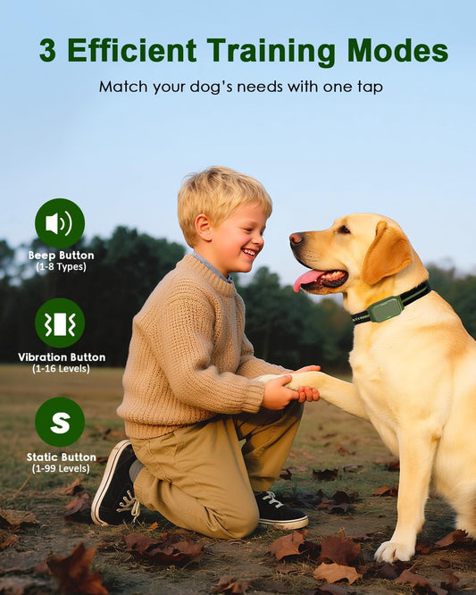Shock Collar for Dogs, Dog Training Collar with Remote Control