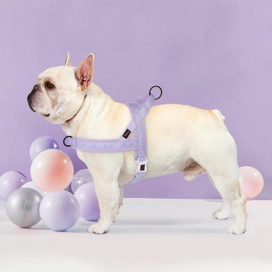 No Pull Dog Harness with Breathable Mesh Padded, Quick Fit and Easy on Dog Vest Harness for Small Medium Large Dogs Training Walking(Purple,M)