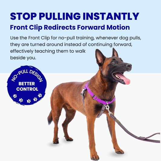 Freedom No Pull Dog Harness, Purple, Large
