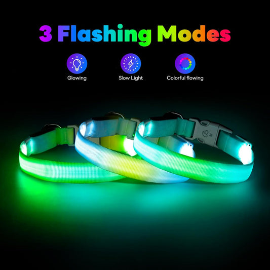 LED Dog Collar, Light Up Dog Collar with RGB Macaron Lighting Mode, Glow in the Dark Dog Collar, Type-C Rechargeable, Waterproof, Super Bright TPU, Battery Display for Small Medium Large Dogs