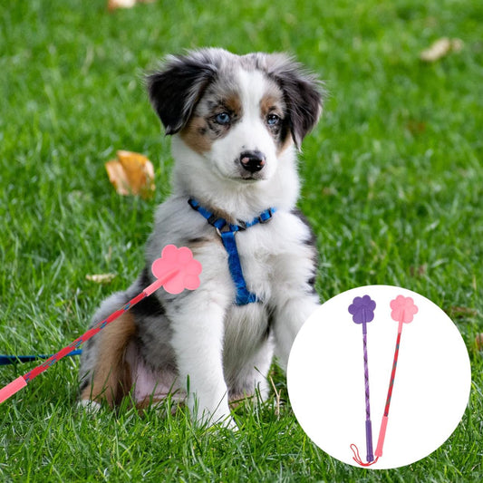 Dog Training Paw Shape Training Stick Tool for Puppy Exercise Flexible Pet for Obedience Bad Behavior Correction Interactive Indoor Outdoor Play 2 pcs