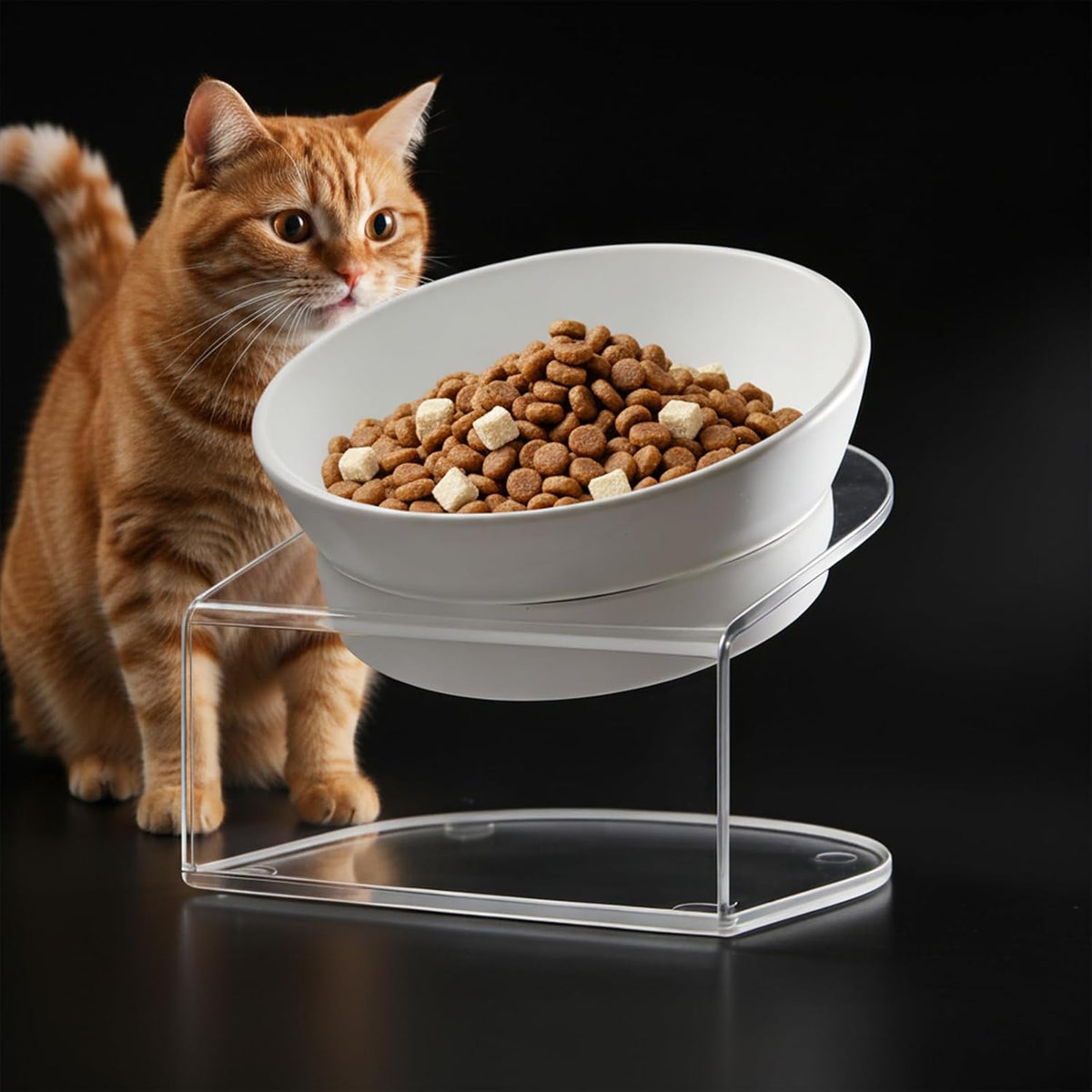Dog Food Storage Container 10 Lbs