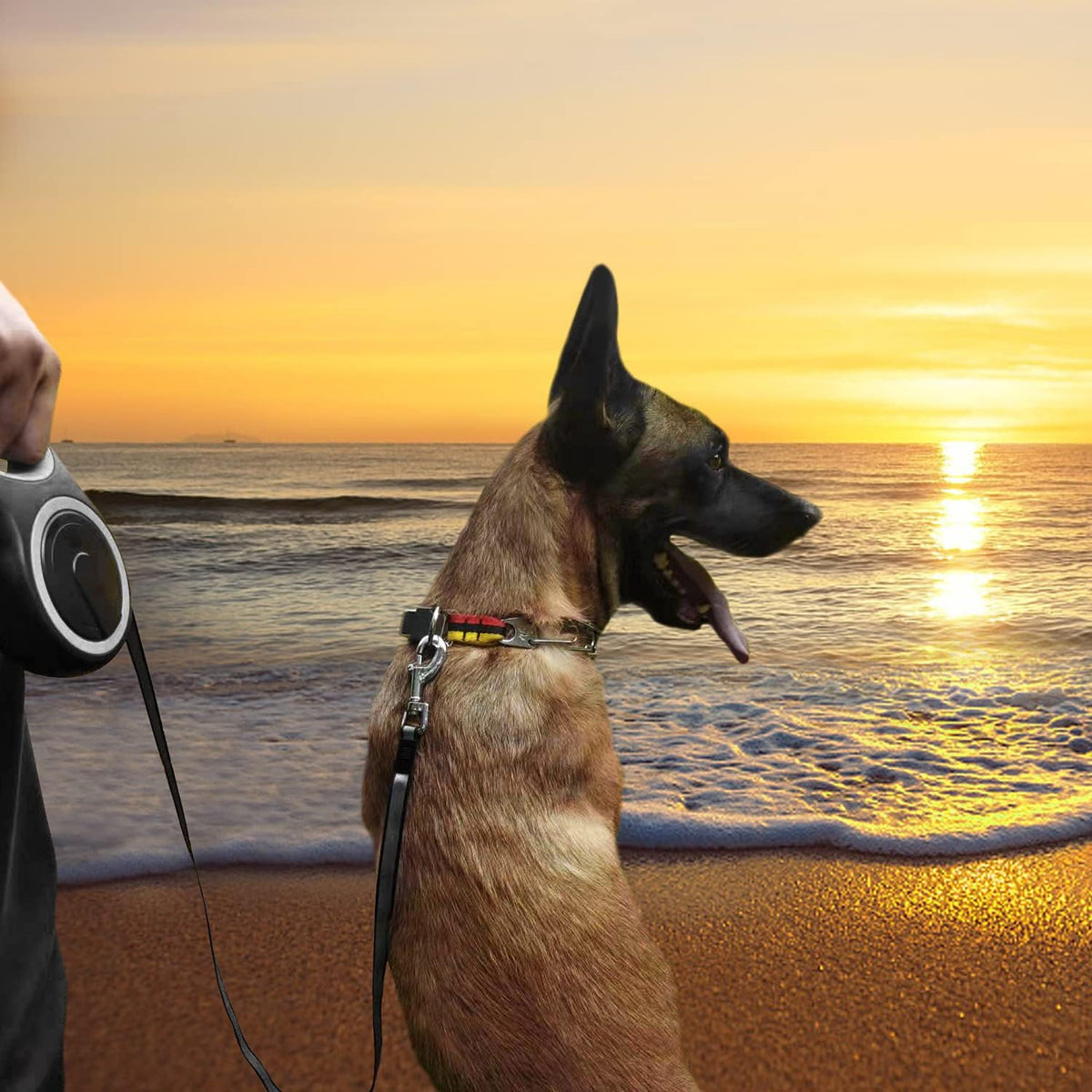 26Ft Retractable Dog Leash, Heavy Duty Great Leash for Dog up to 110 lbs, Anti-Slip Rubberized Handle, One-Handed Brake, Strong Nylon Tape, Tangle Free(Large Size).