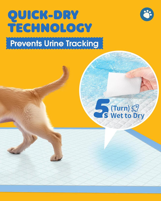 Puppy Pads for Dogs, 34x28 in, 6-Layer Leakproof
