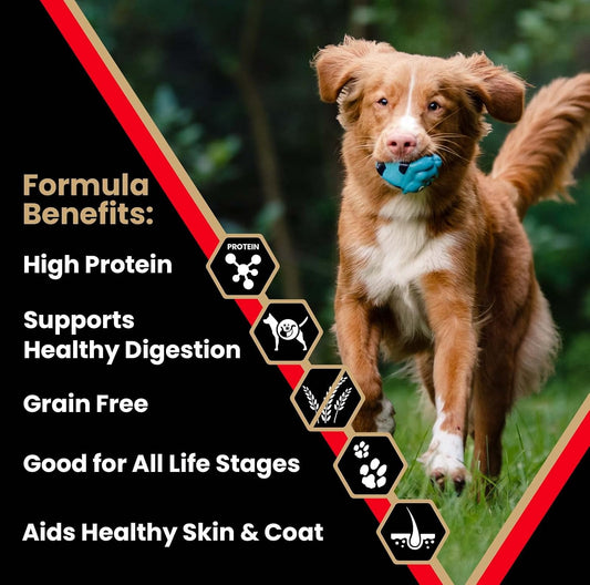 Grain Free Dry Dog Food - High Protein Active Dog Kibble, 5 lb