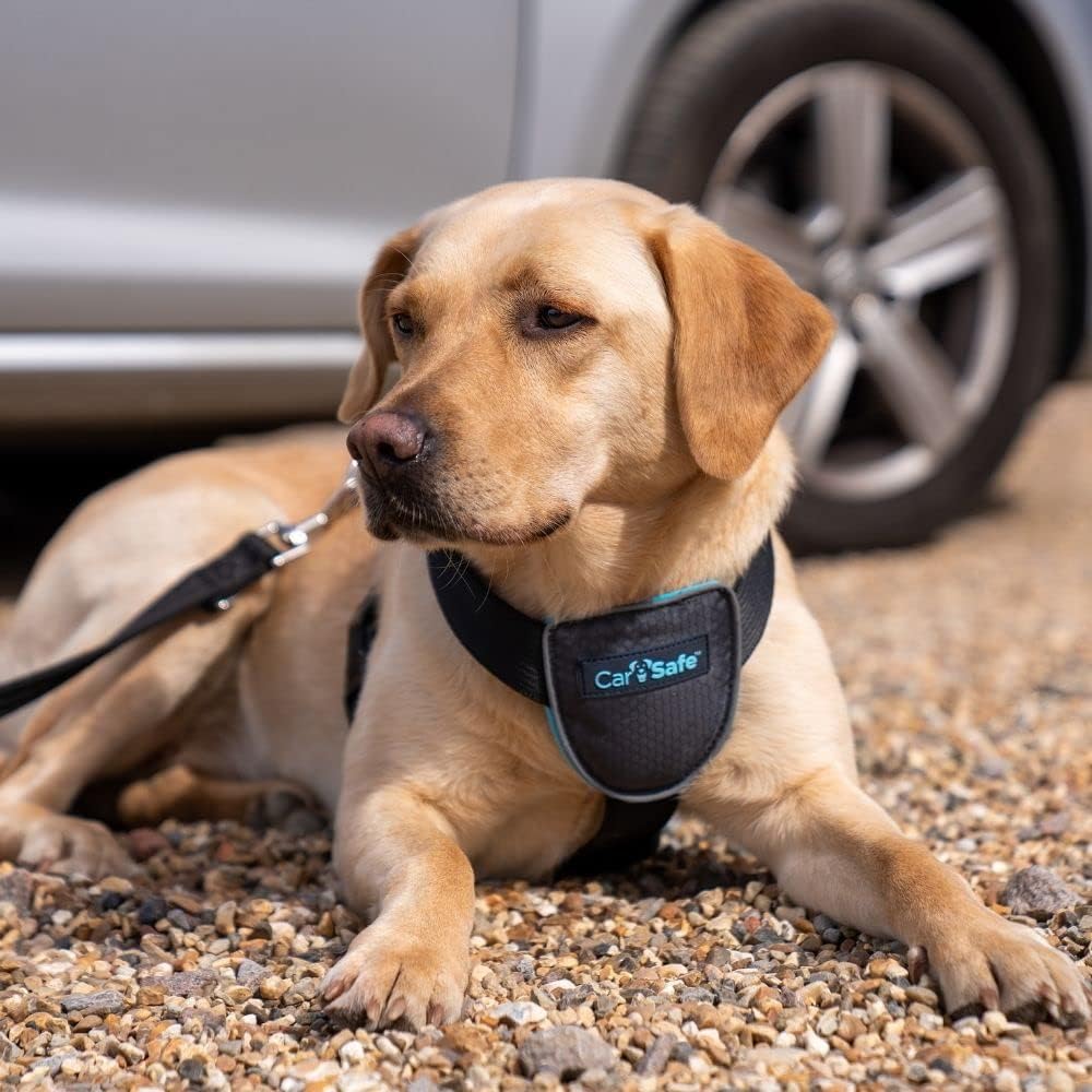 CarSafe Dog Travel Car Harness | Size M