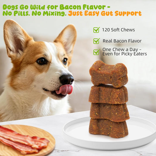 Dog Allergy Itch Chew, Skin Relief & Seasonal Support, Bacon 120ct